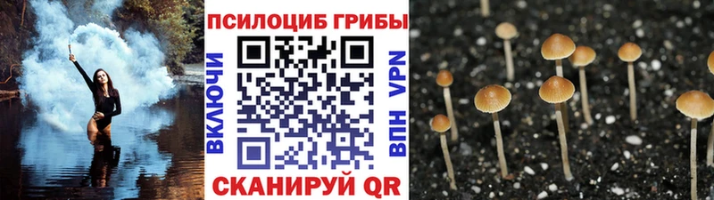 Галлюциногенные грибы GOLDEN TEACHER Оха