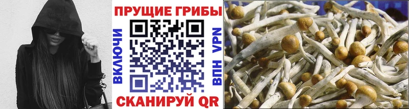 нарко площадка телеграм Оха Псилоцибиновые грибы Psilocybe hydra рабочий сайт